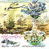 نغمه ی دشتی از عبدالحسین مختاباد